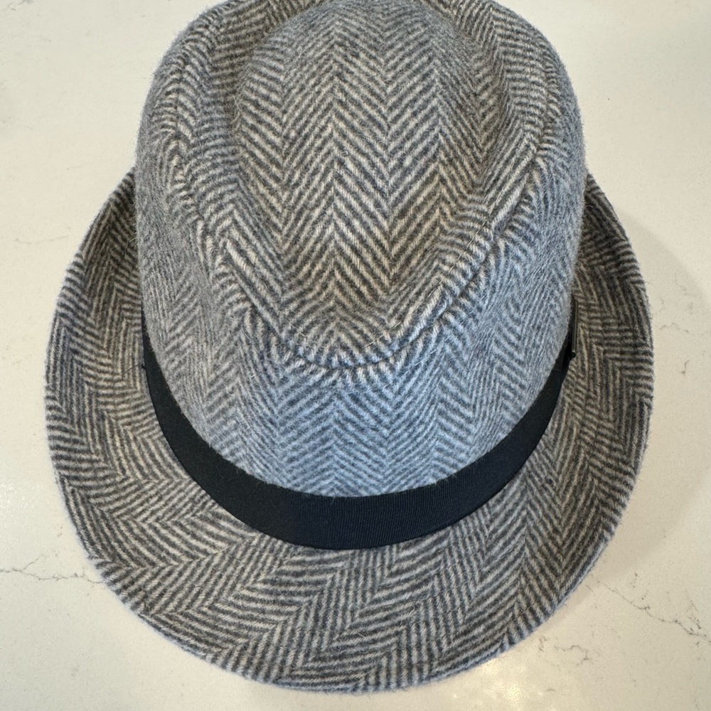 Fedora hat
